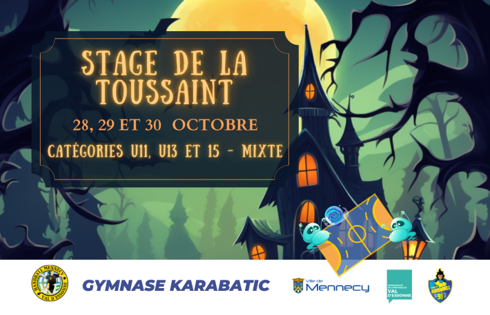 Stage d'Automne - U11/U13/15
